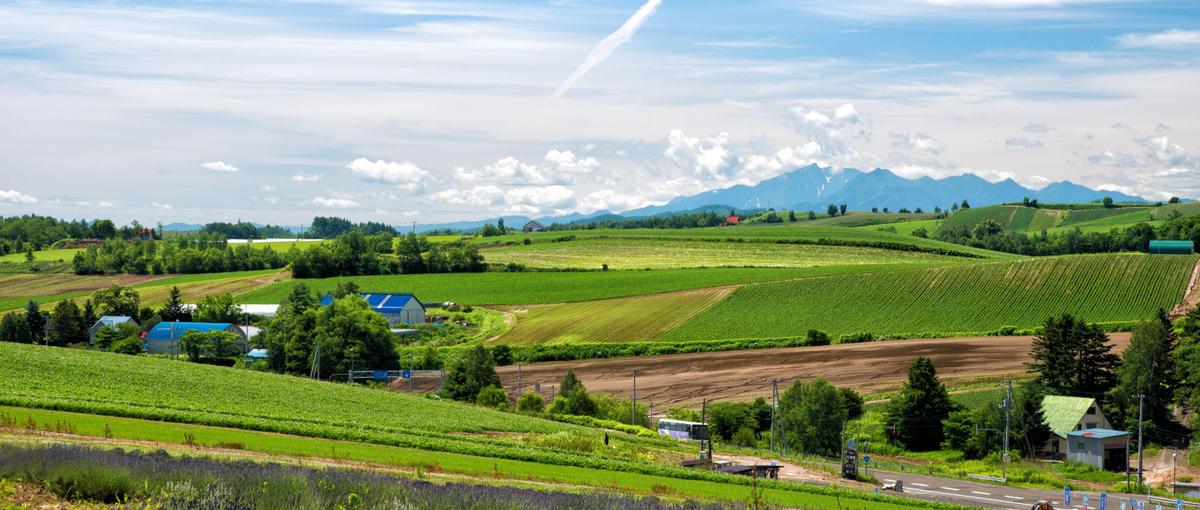 移住して起業をカタチにする3年間。秋田から地方創生×事業創りに挑戦しよう	