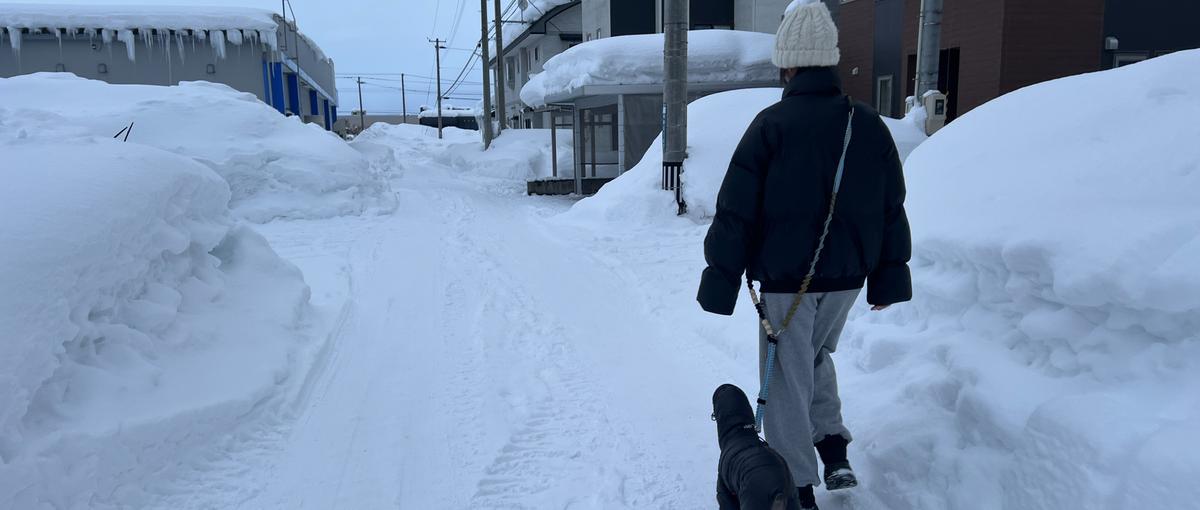 地方から全国規模の仕事に挑む！地方在住の可能性を広げる新しいスタイル。