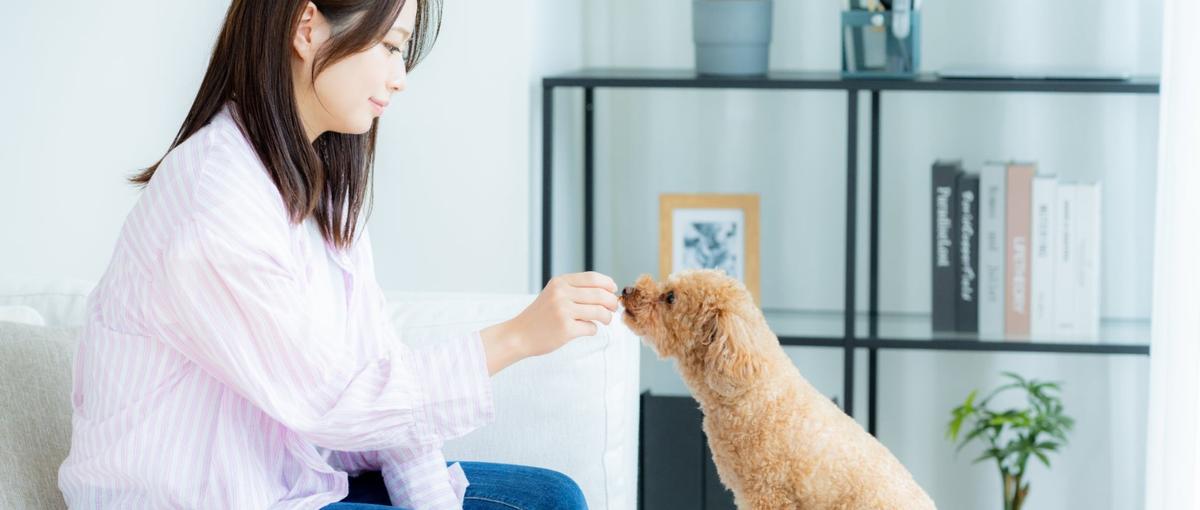 ペットフードSmileyの想いを届ける｜店頭サンプリングパートナー募集