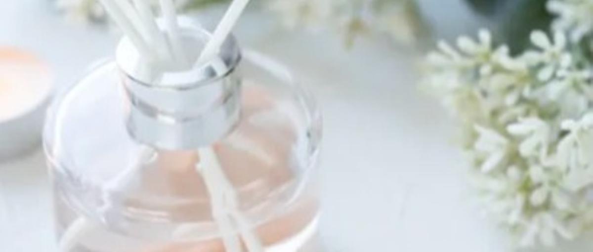 企画も発信も全力で。フレグランス事業を育てる広報職