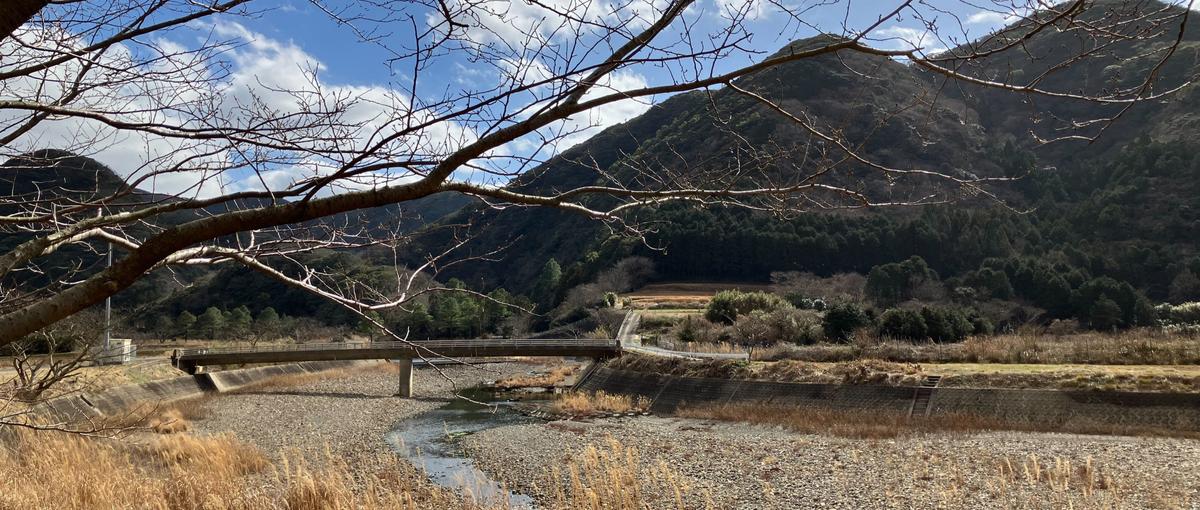 27卒｜地域の強みを最大化！資源を活かす事業創出｜地域活性化プランナー