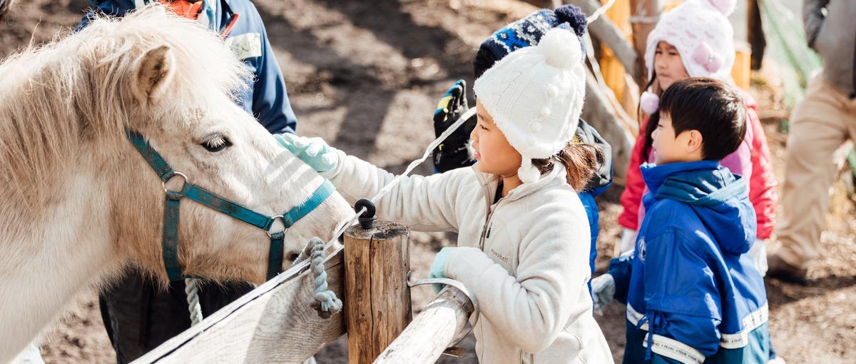 都市と地方をかきまぜる、旅行事業を支える事務スタッフ募集！