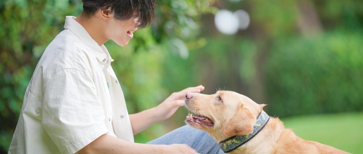 愛犬たちの楽しい時間づくり！東京都江東区のドッグラン運営＆SNS運用