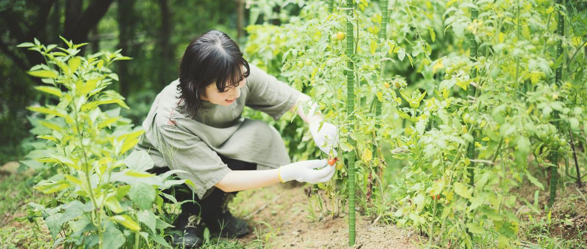 50種類以上の植物を育てる里庭を、共に育てる仲間を探しています！