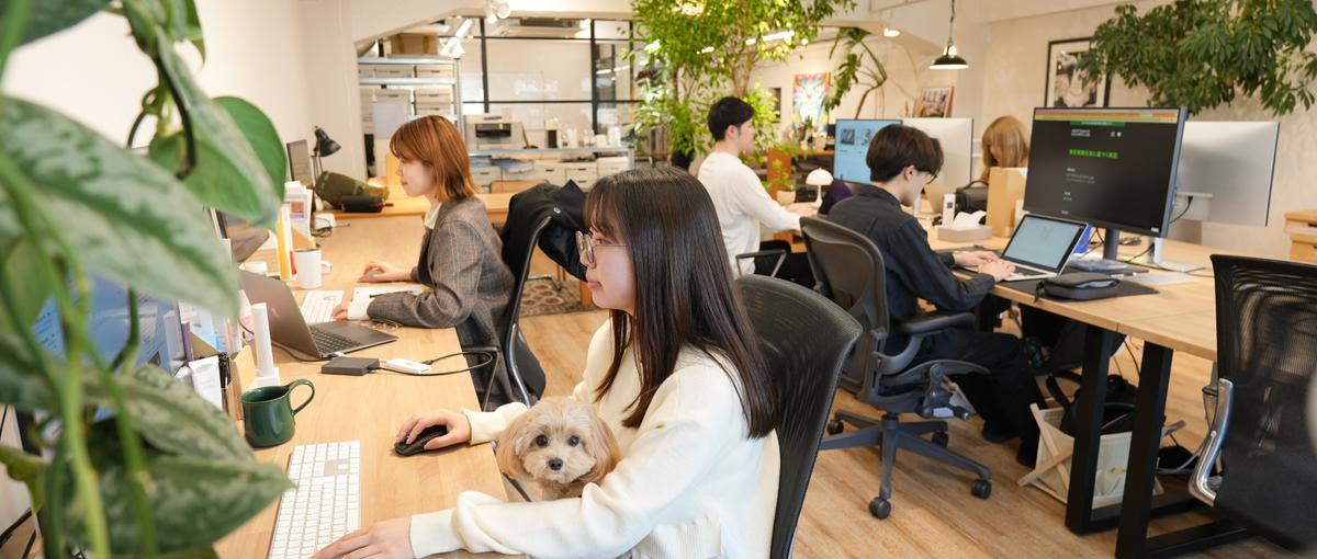 幹部候補募集！クリエイティブの力でビジネス課題を解決するPM募集