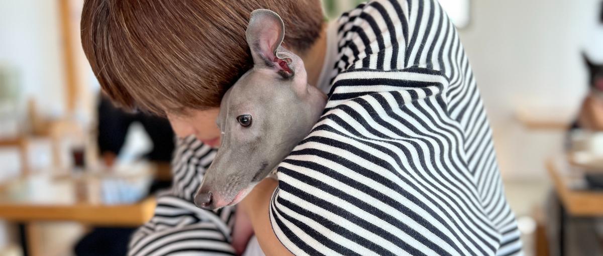 元ウェディングプランナーさん歓迎！培ったおもてなしの心をCSで発揮しよう