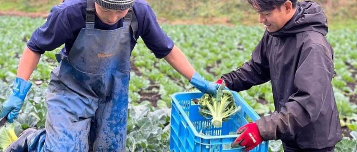 27卒新卒採用┃食と子どもの未来をつなぐ！保育×農家さんとの懸け橋に！