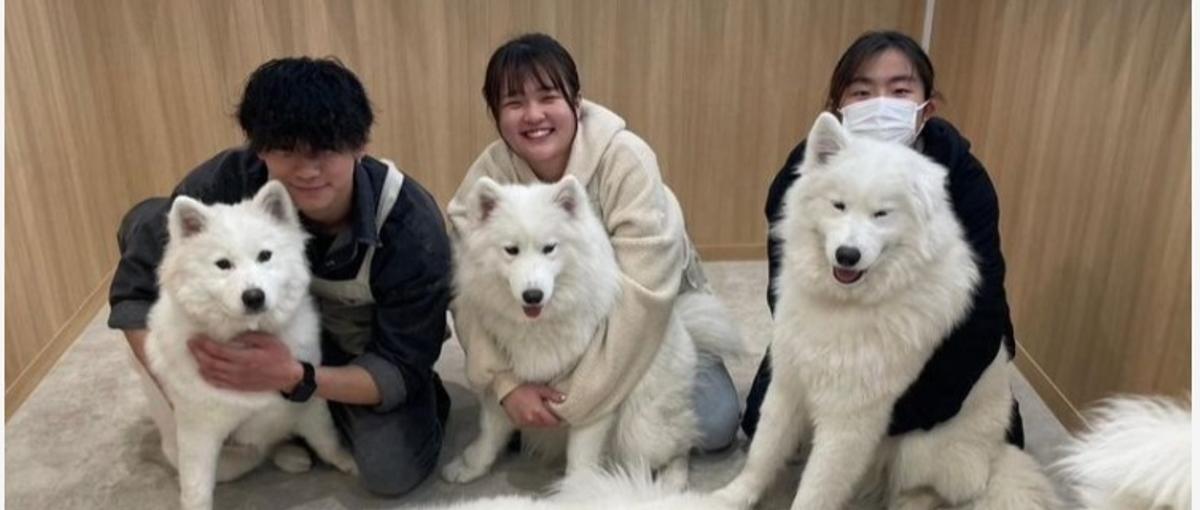 会社の成長を裏側から支える！人事労務募集！