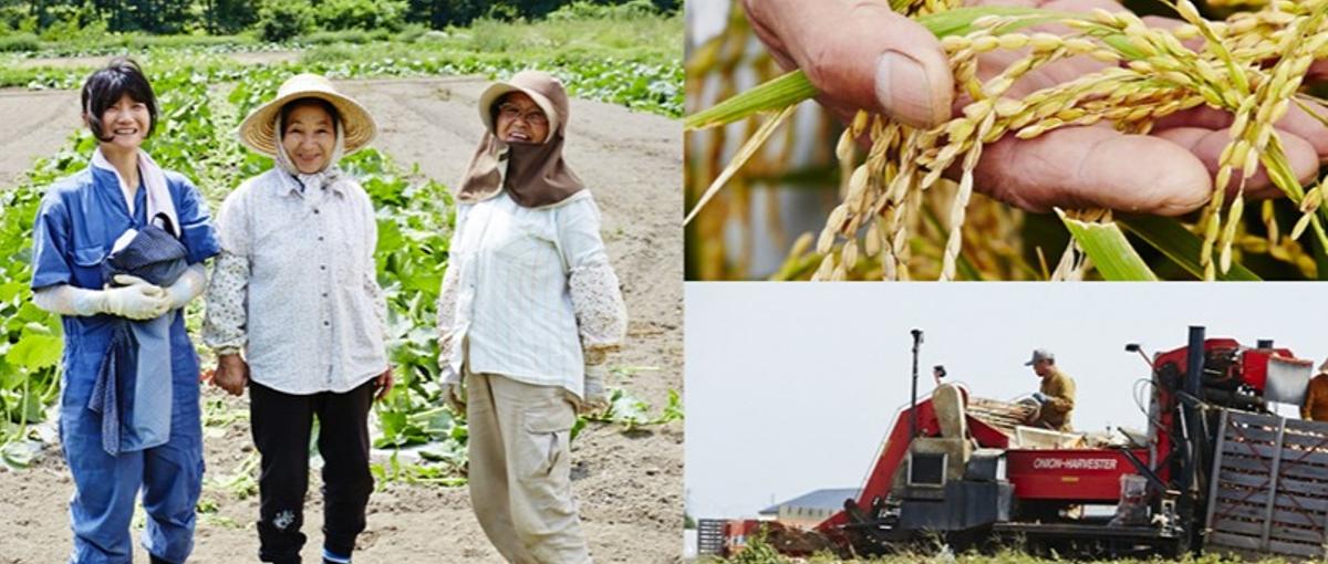 日本の有機農業を次世代へ。100億事業のV字回復に挑むインターン