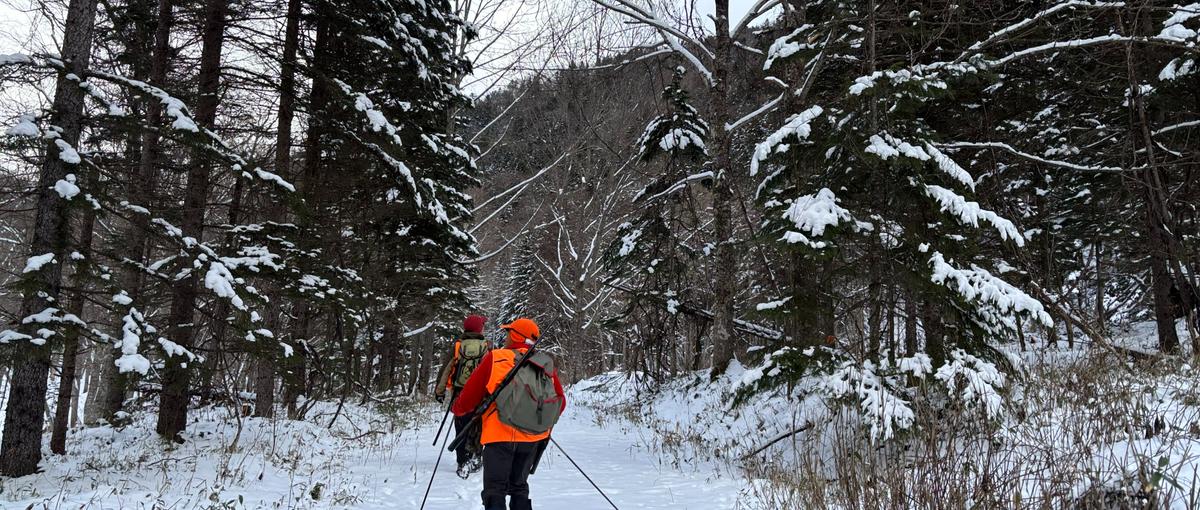 希少種保全の最前線を担う即戦力募集！野生動物との共存社会を創る調査研究者