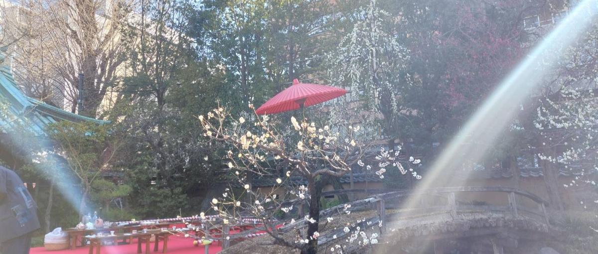 強みを磨く一歩が、プロダクトに新しい価値を生む｜Webエンジニア募集