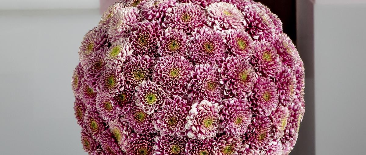 アイディアと花があふれてます。デザインチームを支えるアシスタント募集！