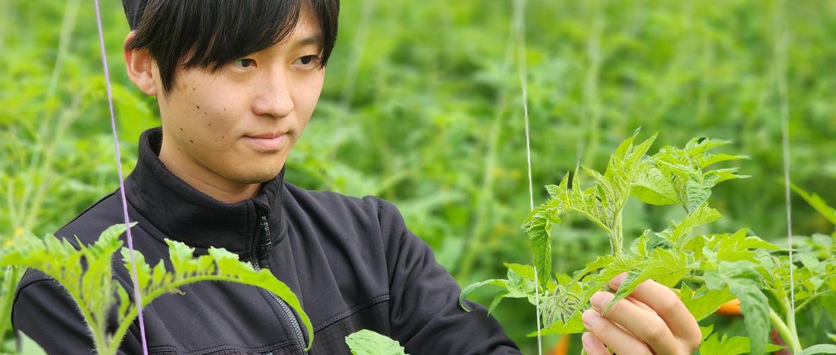 全国｜異業種出身者歓迎！農業×産業化を担う拠点マネージャー候補募集