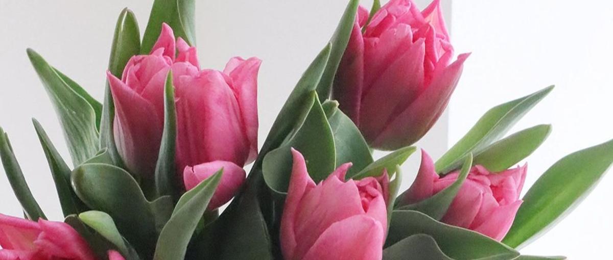 ユーザー体験を守る最前線｜CSポジション募集