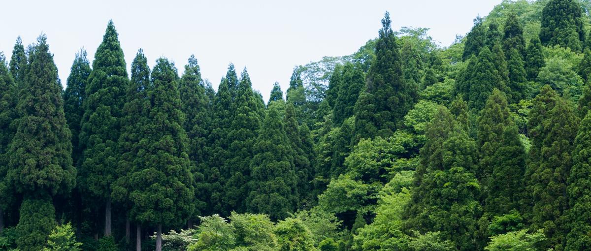 北海道に地方移住して、現地から多種多様なマーケで地域を盛り上げよう！