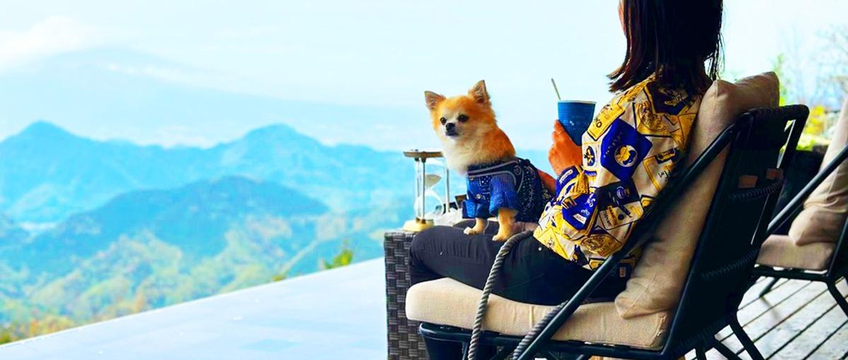 裁量を持ってReact・Next.jsで一緒に自社サービスを育てませんか？