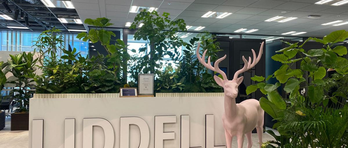 AI×ノーコードで業務自動化！GAS/Flowsを駆使するエンジニア募集