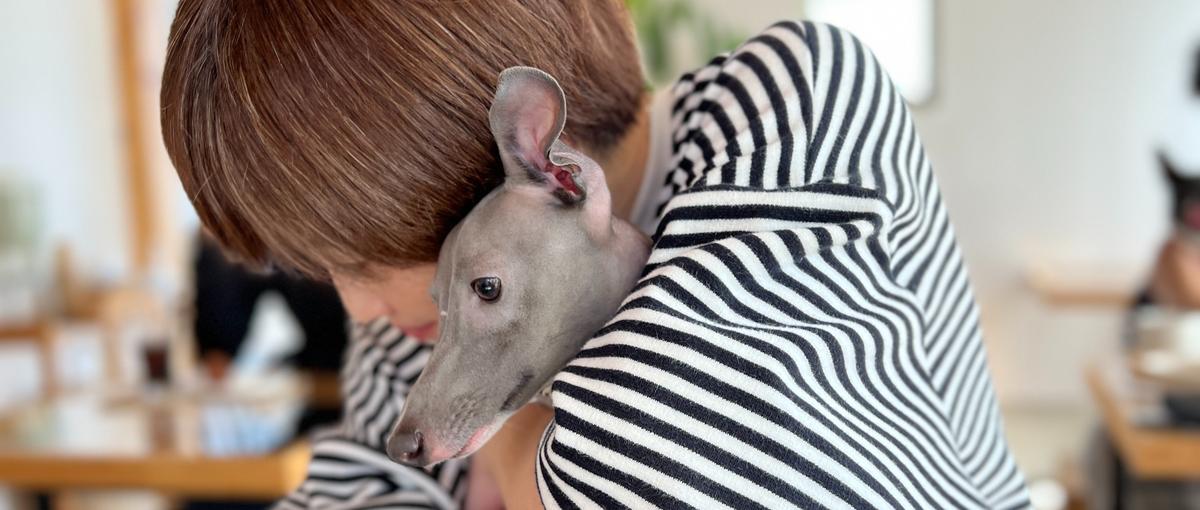 キャリアを諦めない。家庭の事情もチームで助け合い前進し続けるCS募集！