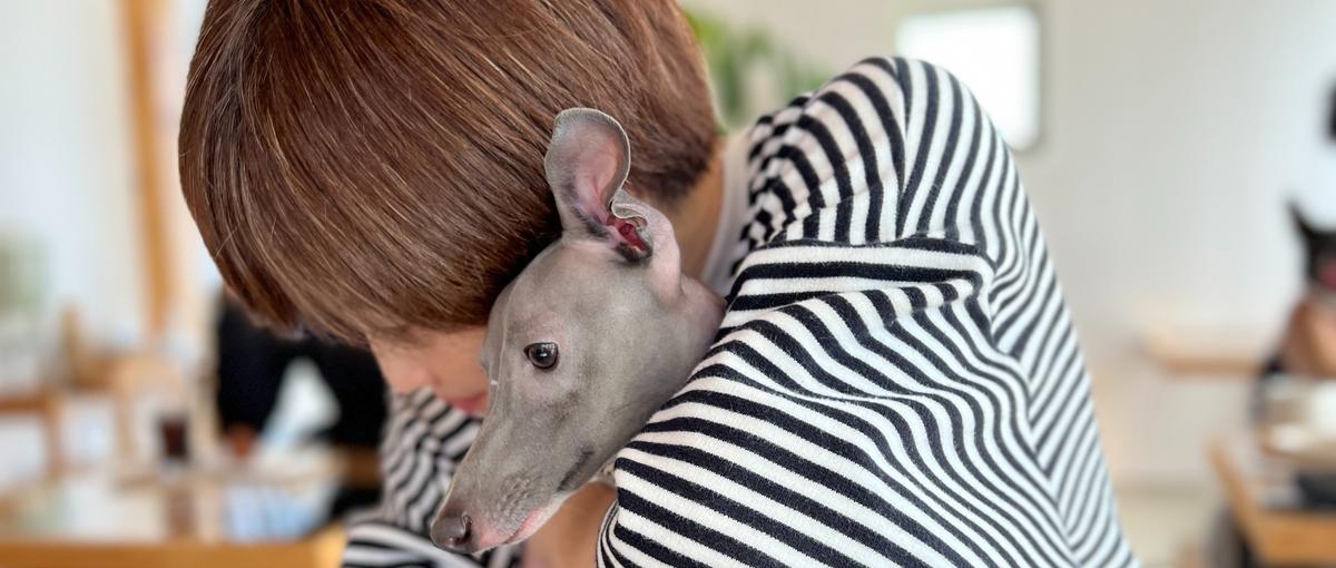 数値に基づきPDCAを回すSV！コールセンターの運営経験者を募集