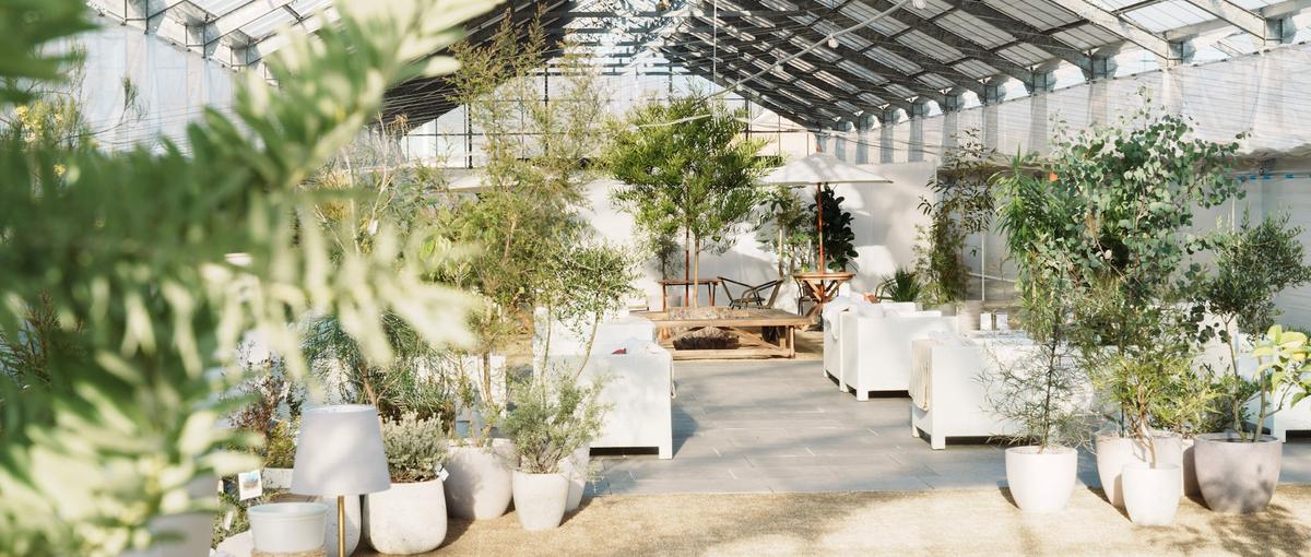 2026年開業！農業で人と地域をつなぐ自社苺農園マネージャー