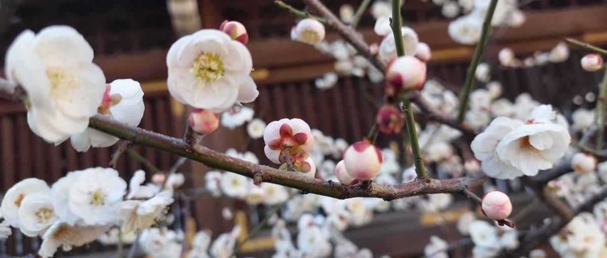 自分らしく働きながら、PMとして前に進みたい方へ