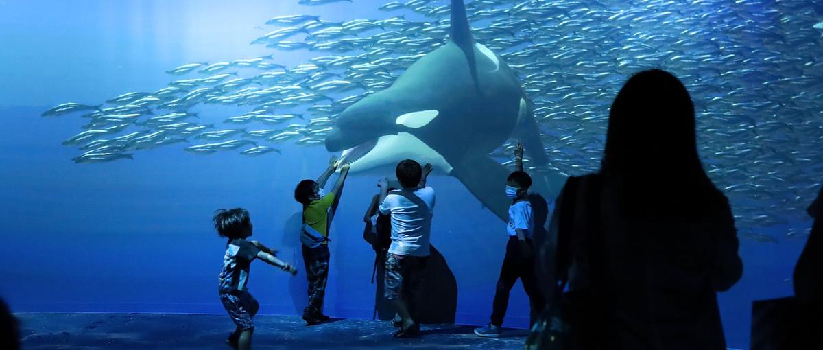 東京｜体験のリアリティをビジュアルで支えるCGデザイナー