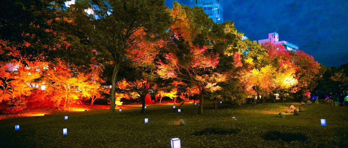 高いビジュアルクオリティを追求し、表現の中核を担うビジュアルアーティスト