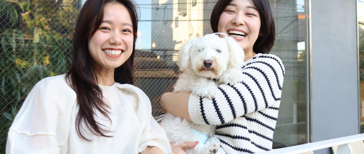 デザイナーズ物件の魅力を広める！広報から総務まで、会社の顔になる事務職