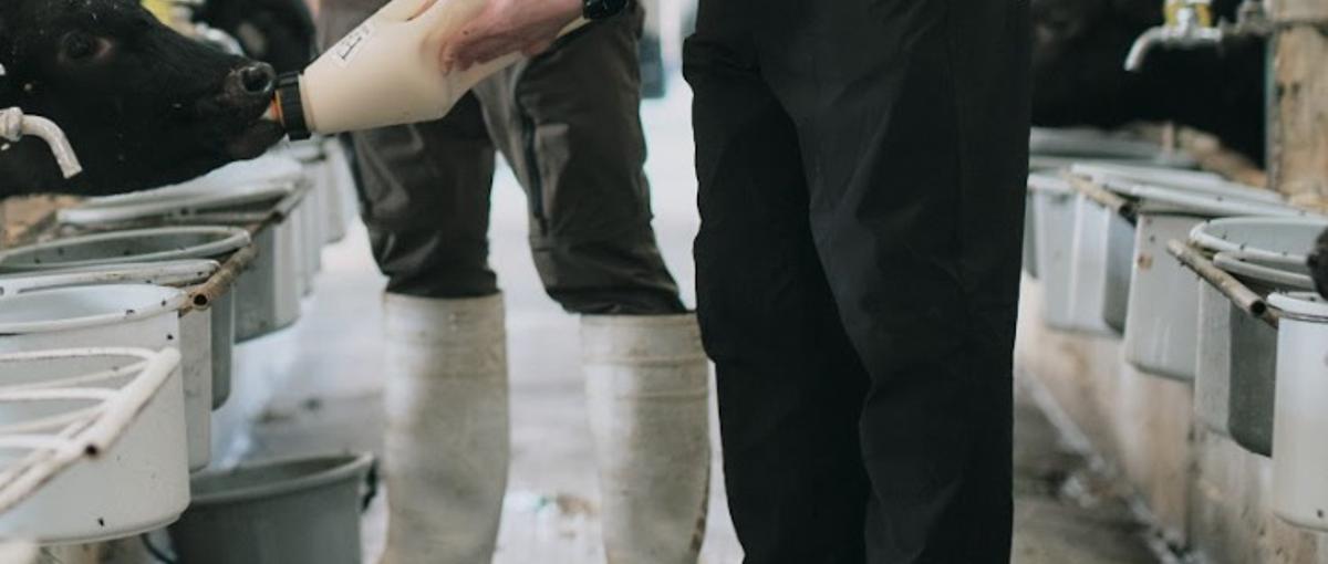 27卒・28卒！その才能とその姿勢で、地方企業を担ぐために燃やし尽くせ。