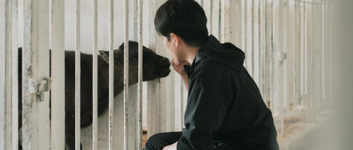 27卒・28卒！1年目で一社の運命を背負う。本物の生きた現場と環境で