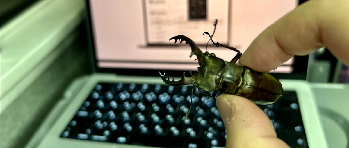 どこにいても輝ける働き方を。使命感を持って顧客の課題に向き合うCS募集！