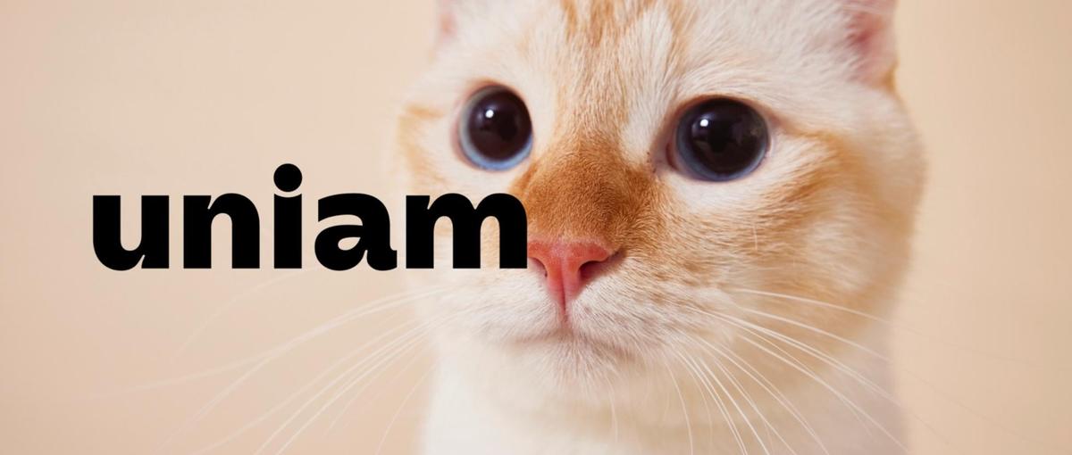 急成長の猫ヘルスケアブランドを支えるSNSマーケの学生インターンを募集！