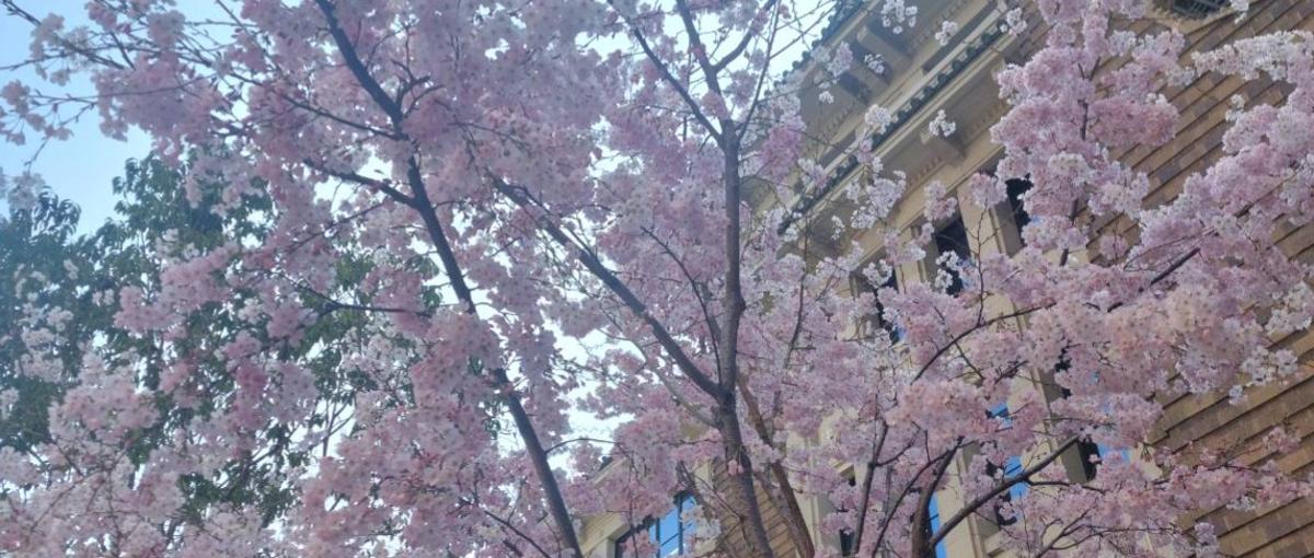 周りとの関係性を築きながら進行するPMを募集しています