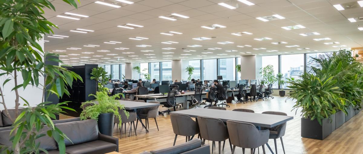 ネットワーク×クラウド両方経験できる！インフラエンジニア募集