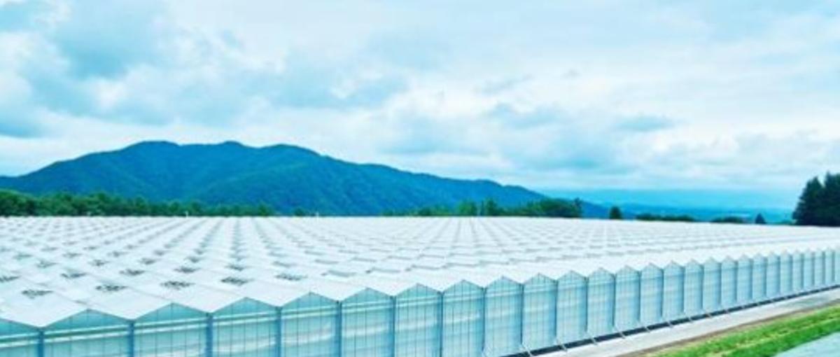 山梨｜次世代の農業×流通を創る！営業マネージャー候補を募集中！