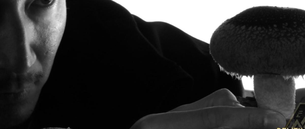 地方の現場から0→1へ。循環型農業の新規事業推進メンバー募集