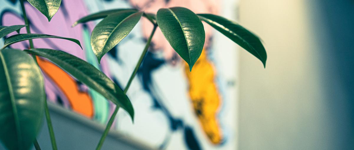 映像をつくるだけで終わらない。事業に向き合うプロデューサーを募集します。