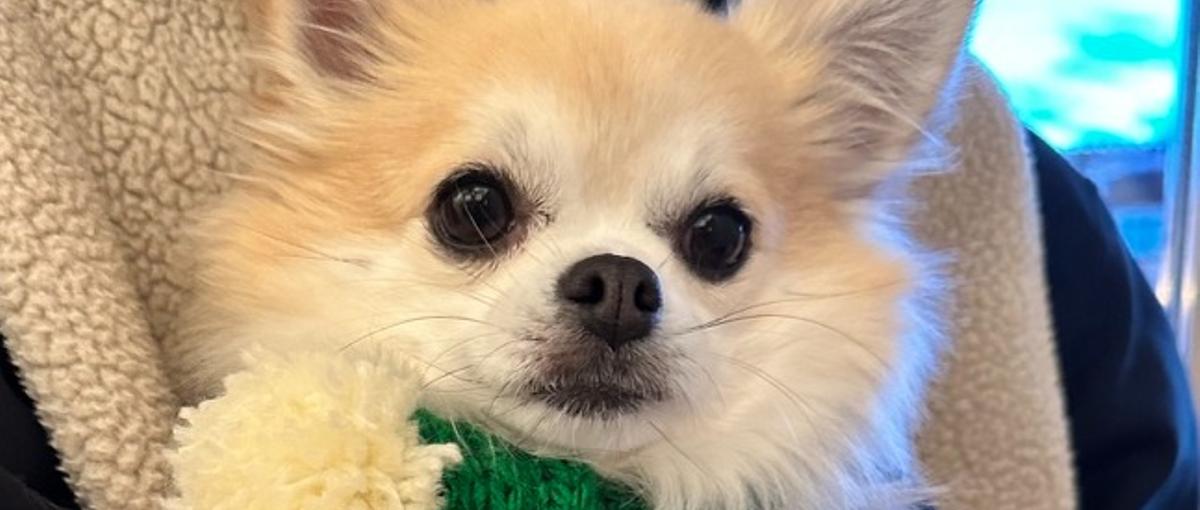 Node.js×TypeScript。Webエンジニアさん募集！