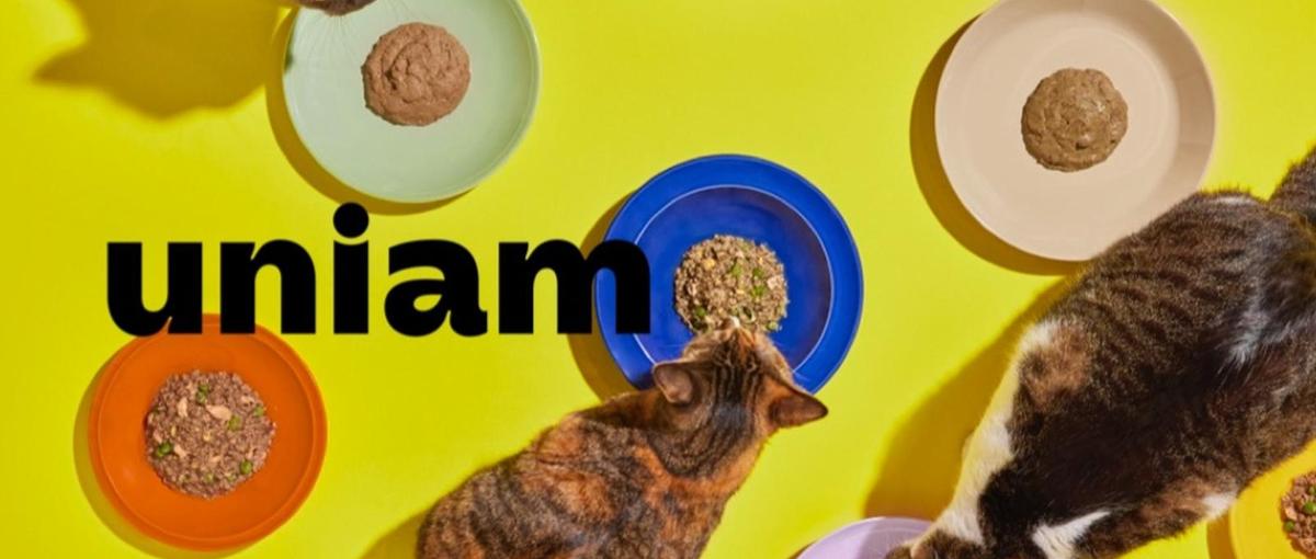 急成長の猫ヘルスケアブランドを支える動画編集の学生インターンを募集！