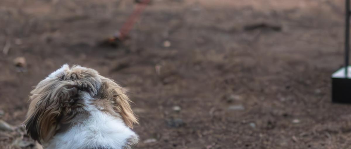  PHP経験者多数！次の技術に挑戦したいエンジニア募集！！