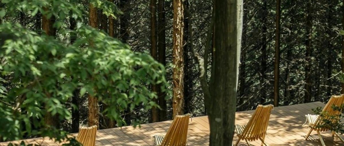 自然との共生をデザインする　循環葬のブランドデザイナーを募集