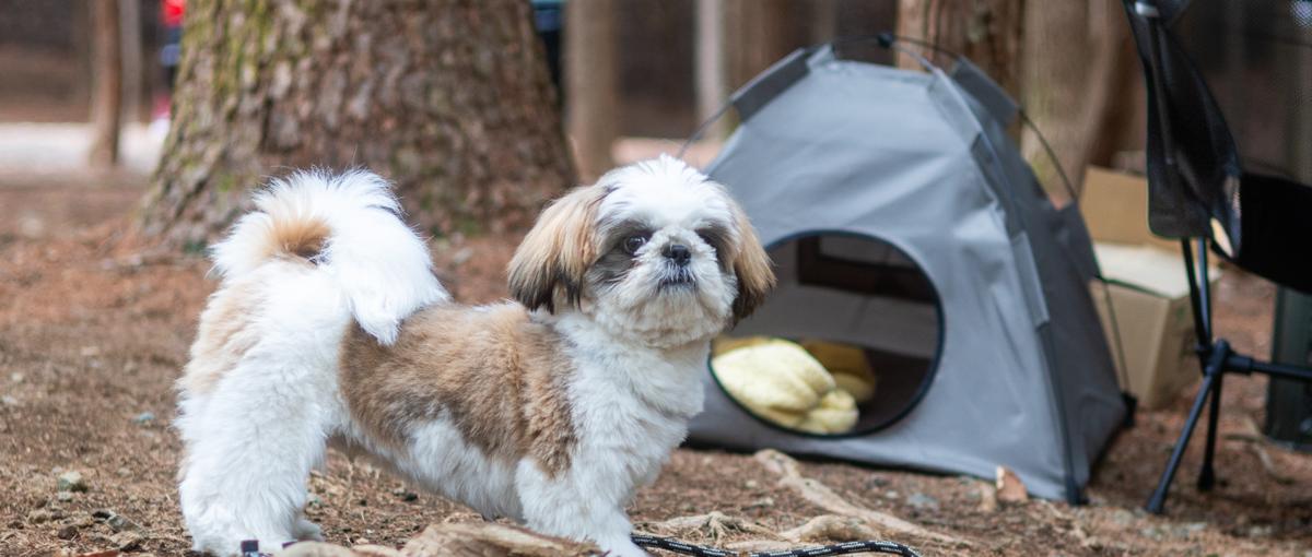 自宅で技術力を活かしたいWebエンジニア募集！！