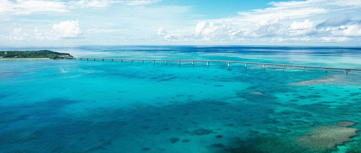 日本の地方をAI・DXで活性化へ｜魅力を引き出し届けるマーケター求む