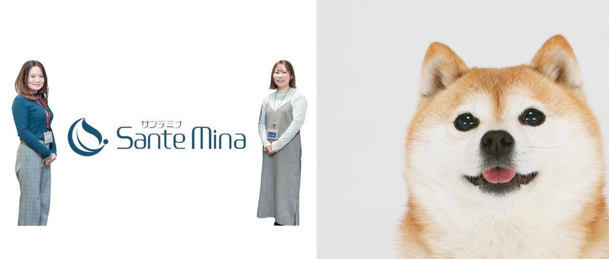 ペット好き必見｜愛犬の口腔ケアヒット商品のWebマーケティング企画職