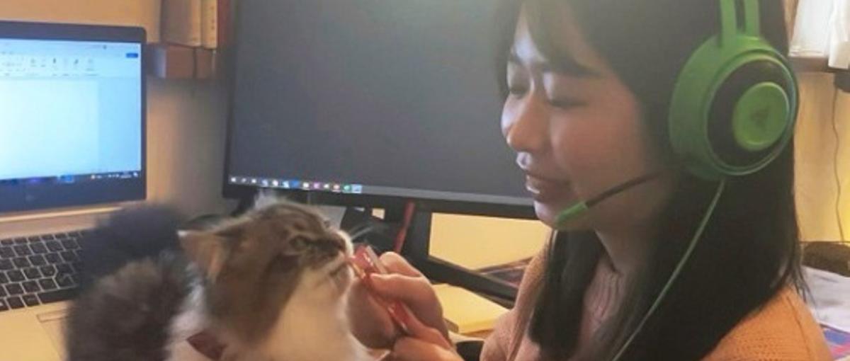 コールスタッフ／自宅にいても活躍可能／エンG