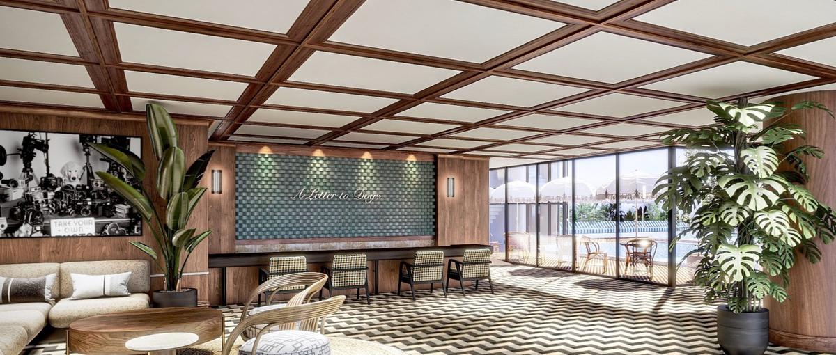 動物への想いを社会の豊かさへ｜ドッグリゾートPR/ブランディンマネージャー