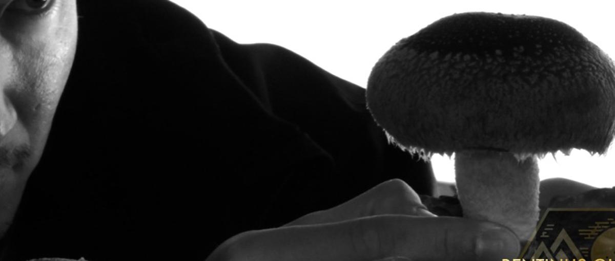 地方の現場から0→1へ。循環型農業の新規事業推進メンバー募集