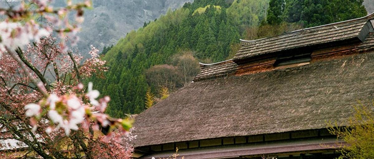 自治体の施設を再生し地域を灯す。13拠点のアセットを動かす設備統括