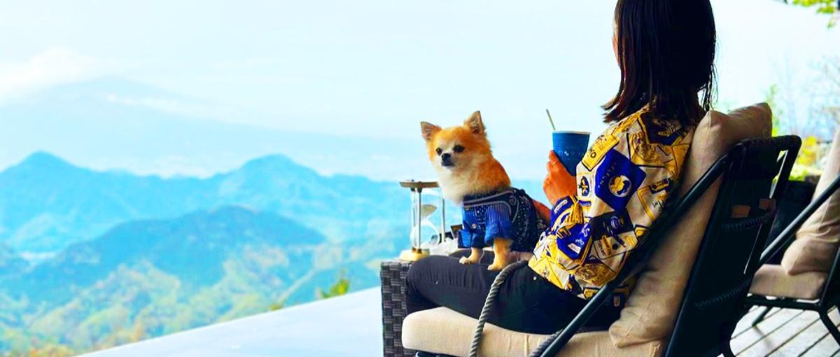  AI×モダンな言語にピンときたWebエンジニアさん募集！