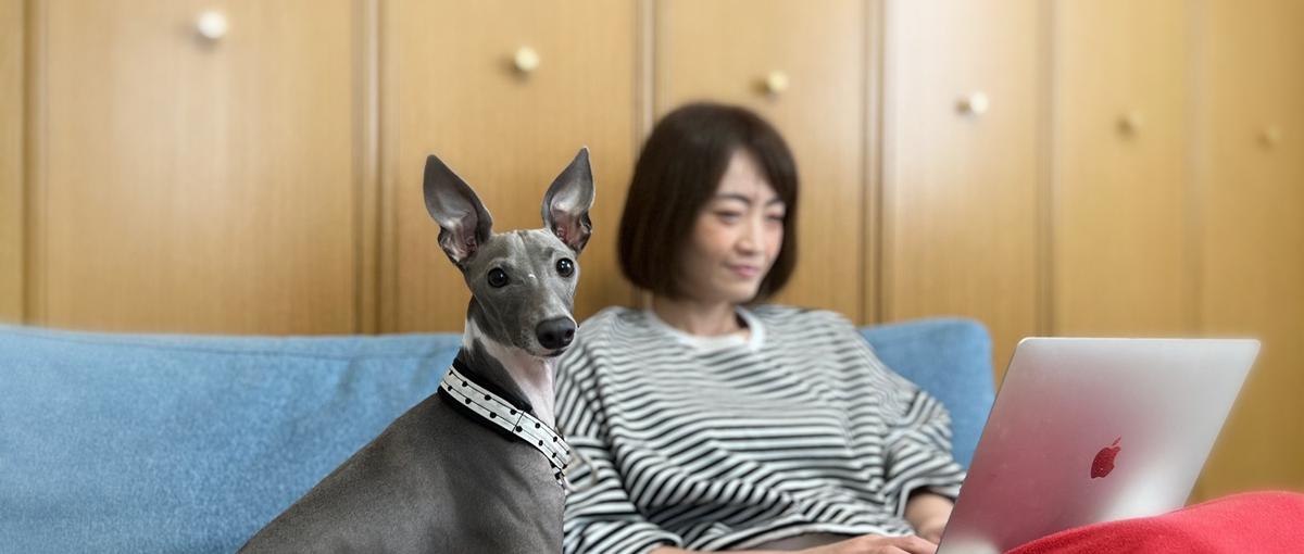 SaaSビジネスの核心、CSスキルをゼロから極める。